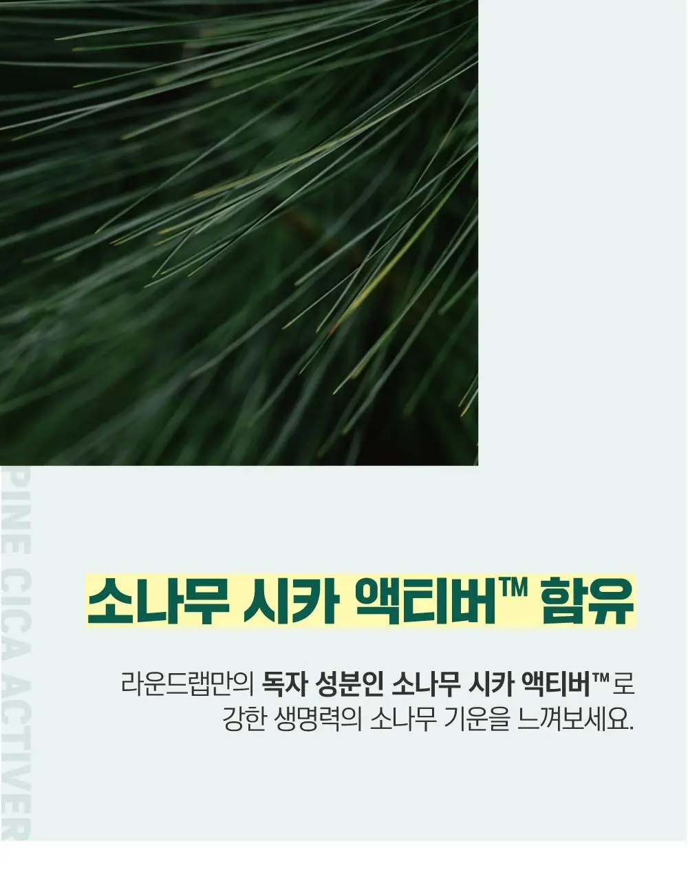 [민감진정] 라운드랩 포 맨 소나무 진정 시카 토너 200ml 상세페이지 5